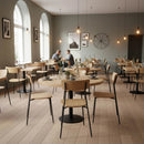 Natural Oak Dining Chair - Colton Series