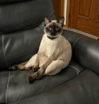Parker House Gemini Leather Swivel Glider Recliner