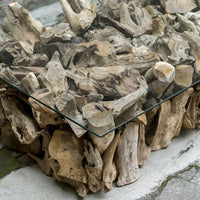 Revelation Teak Root Coffee Table with Glass Top